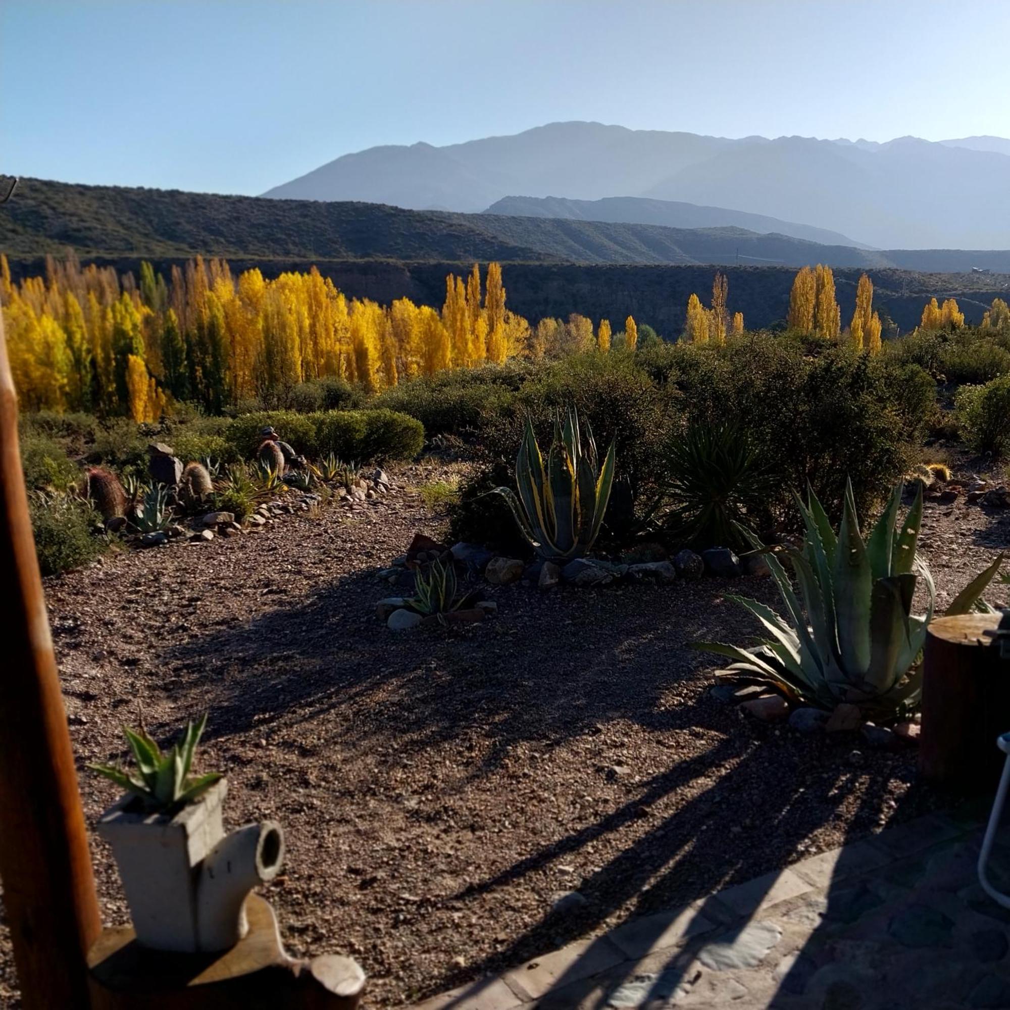 Cabana La Mostacita - Complejo El Taller Potrerillos Buitenkant foto